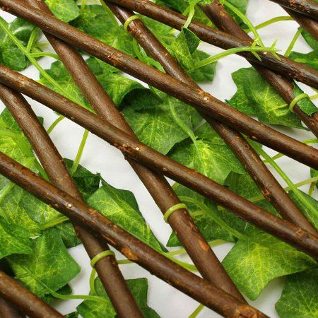 Paravent extensible vegetale